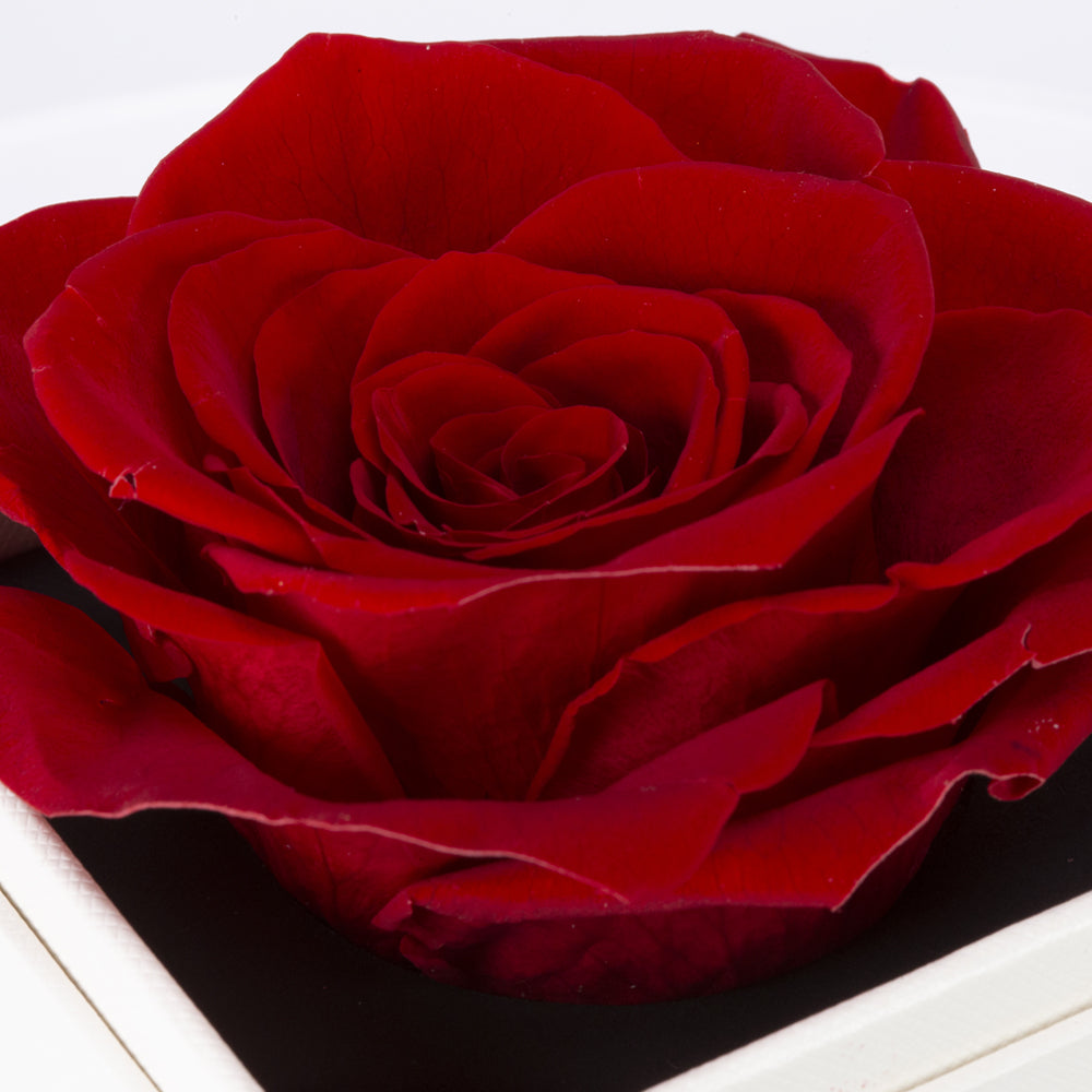 Örökrózsa Ékszerdoboz "Szeretlek" Nyaklánccal